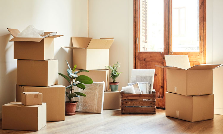 Moving  Company